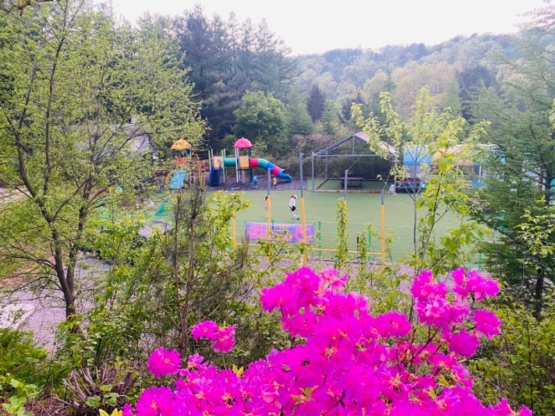 [캠핑] 아이와 함께, 포천 아롱별 캠핑장