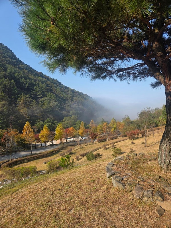 성불산자연휴양림 숲속캠핑장 대표 사진