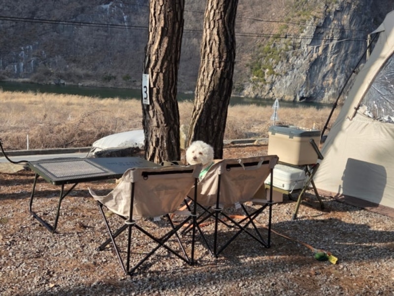 [강원도 영월] 한반도캠핑장- 뷰맛집 애견동반 캠핑장...