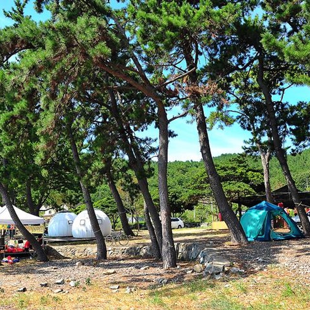 나로힐링캠핑장