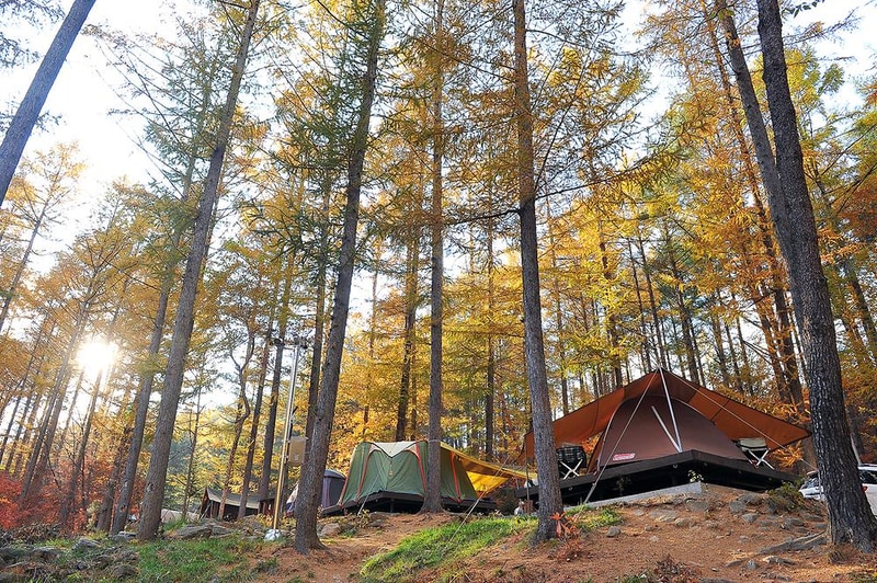 국립청옥산자연휴양림 시설 사진 6