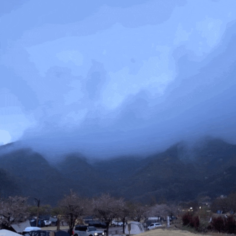 [성주 캠핑장] 대구 근교 애견... 캠핑장 '금수 문화공원 야영장'