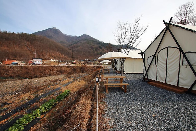 제천 모노레일 글램핑 시설 사진 12