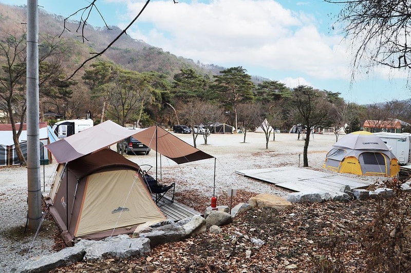 진밭골향기관광농원 야영장 시설 사진 10