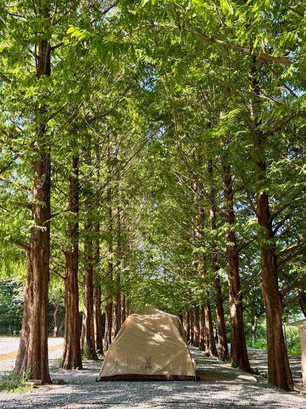 250825 제천 청풍호반오토캠핑장 A4/ 좋았던 점과 아쉬웠던...