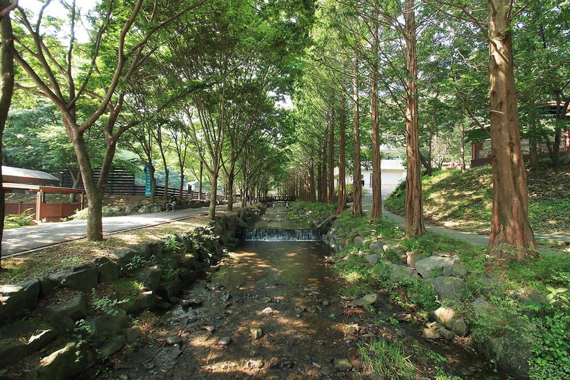 칠갑산 자연휴양림 시설 사진 13