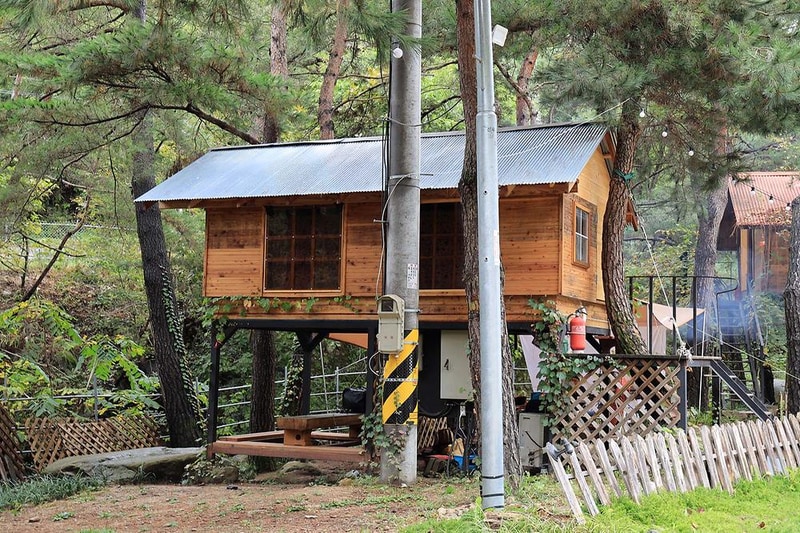 트리하우스계곡야영장 시설 사진 5