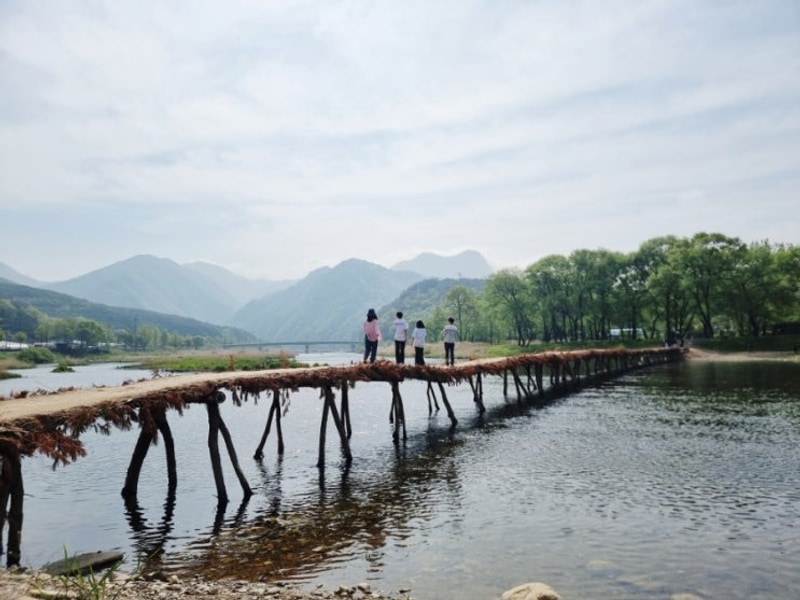 5월연휴, 영월 판운 섶다리 위드힐링캠핑장&펜션 1박