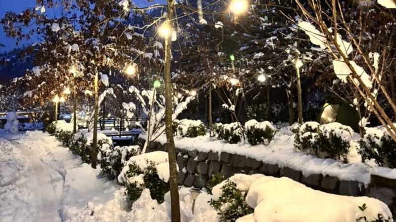 [전라북도] 정읍 자두마을 캠핑장