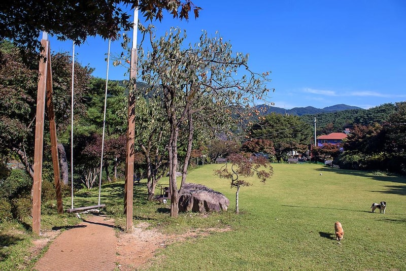 해오름펜션야영장 시설 사진 11