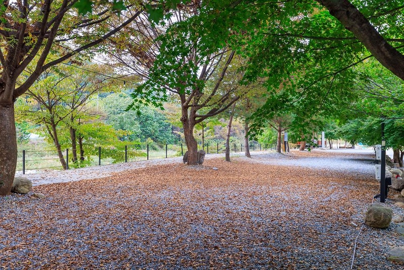 포레스트캐빈앤캠프 시설 사진 16