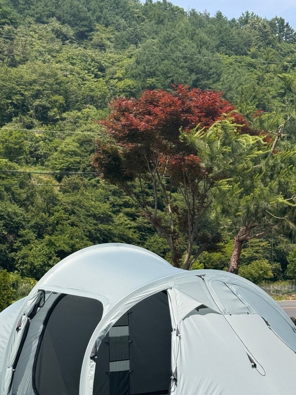 단양 폭포가든 캠핑장 / 신설 캠핑장