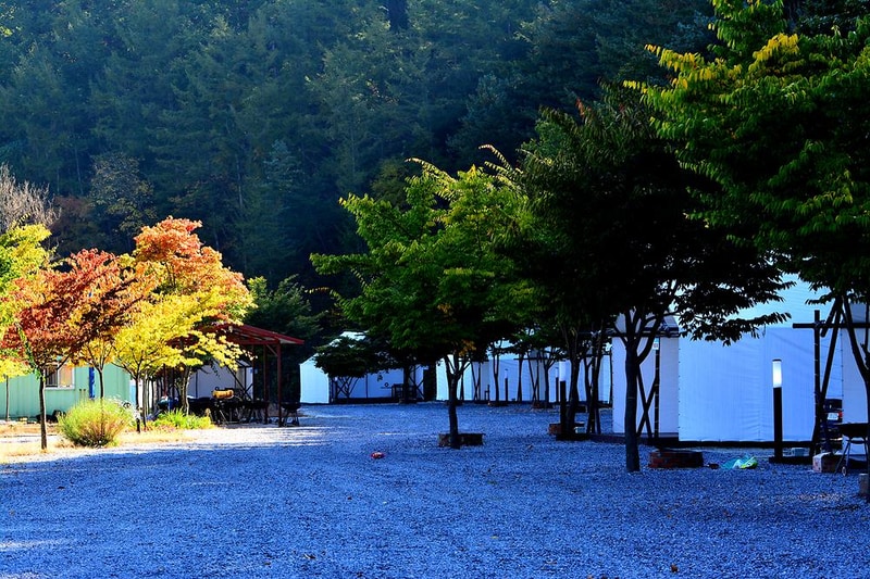 플로렌스 글램핑 & 캠핑 시설 사진 1