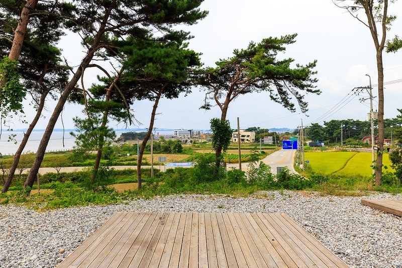 캠핑힐(Camping hill) 시설 사진 8