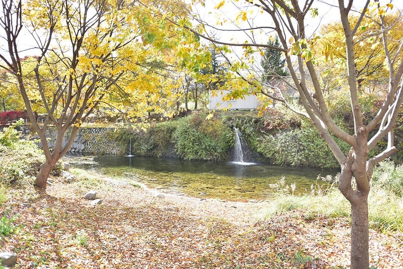 개울가오토캠핑장 시설 사진 2