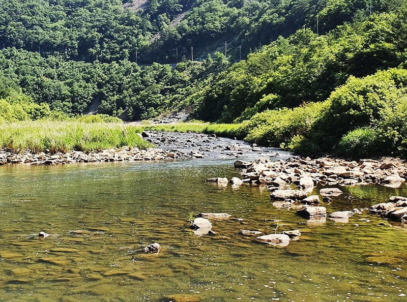 바람부리 별밤 캠핑장 시설 사진 40