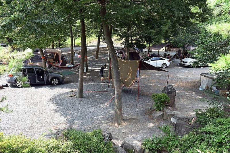 호반오토캠핑장 대표 사진