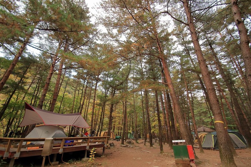 무릉계곡 힐링캠핑장 시설 사진 2