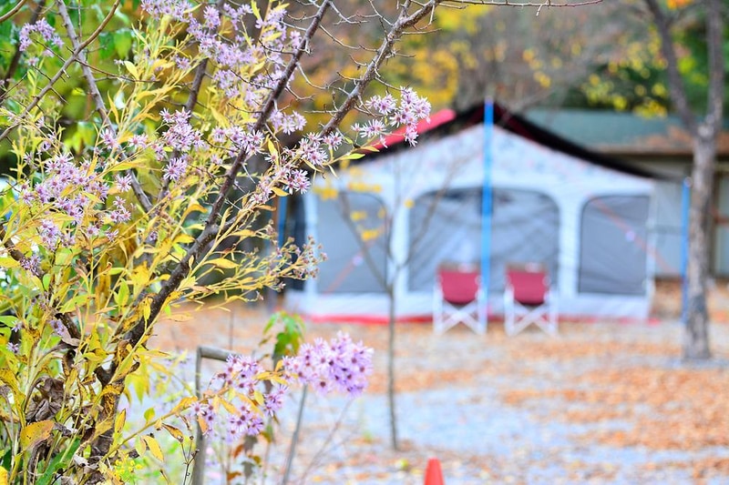 들꽃여울캠핑장 시설 사진 15