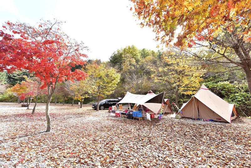 늘푸른쉼터 시설 사진 11