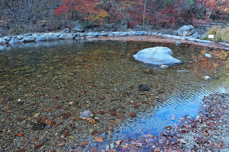 소백산국립공원 남천야영장 시설 사진 1
