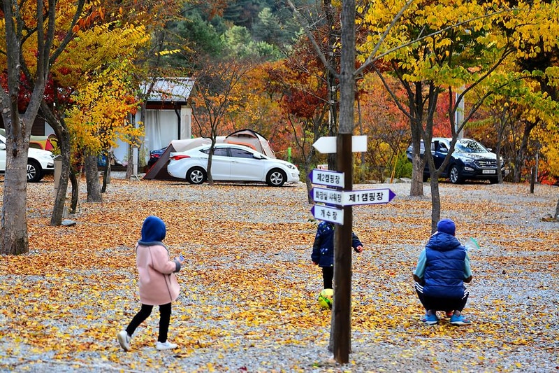 소풍캠핑장 시설 사진 17