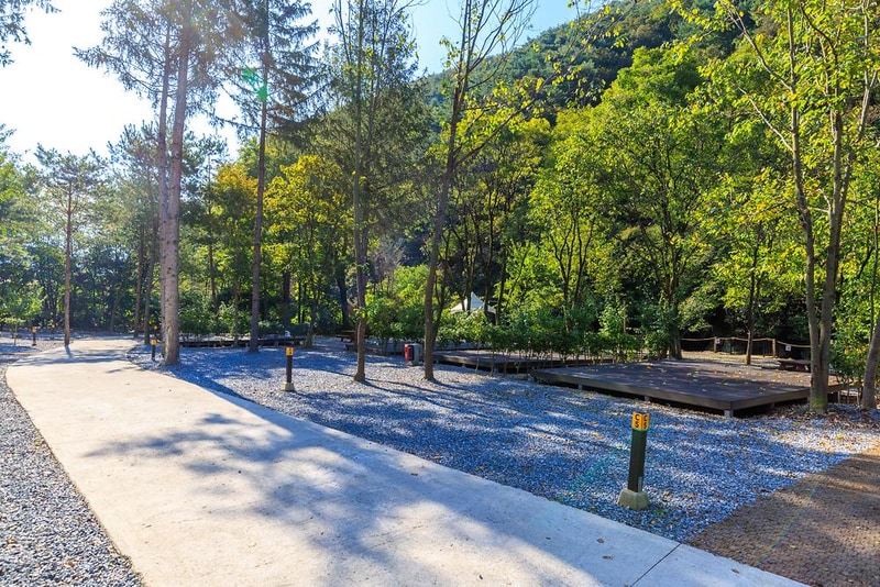 포레스트힐링캠프 시설 사진 12