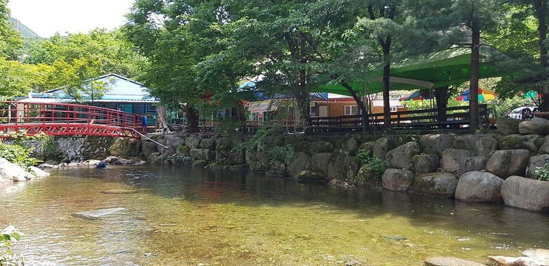 단양 천동계곡 캠핑장 그린농원 시설 사진 1