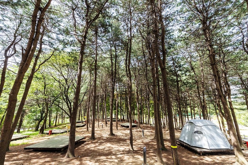 독립기념관 캠핑장 시설 사진 22