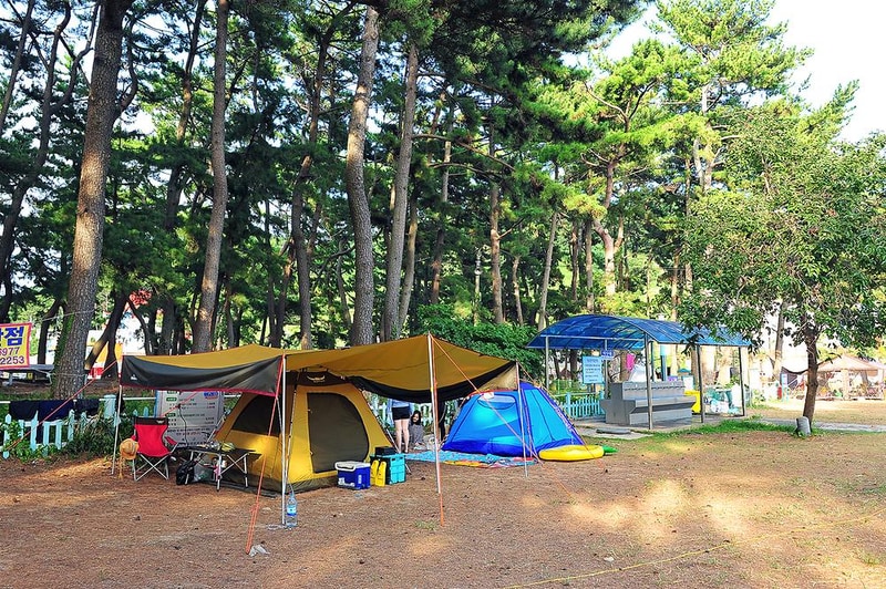 송정솔바람야영장 시설 사진 4