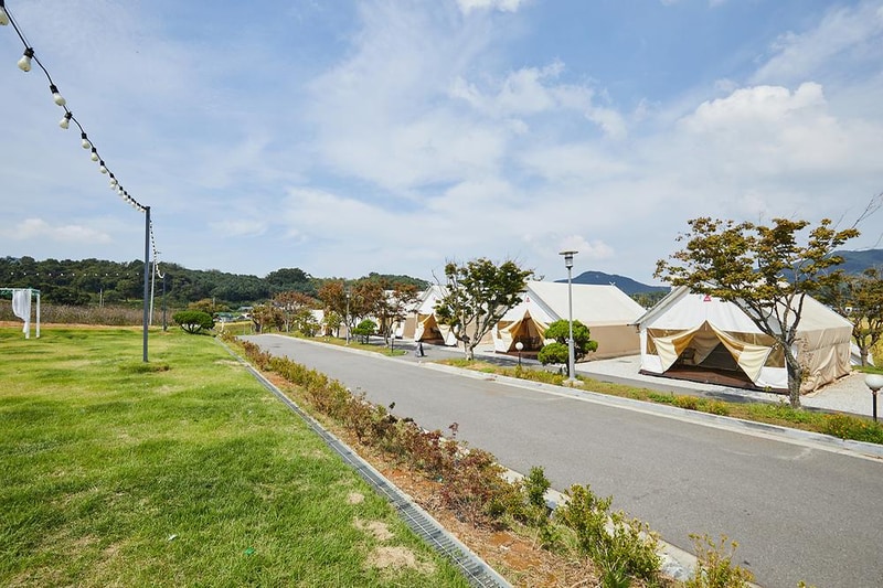 아로니움글램핑 시설 사진 14