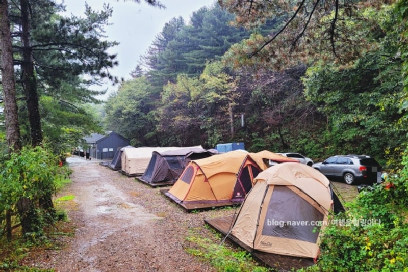 포천 잣숲캠핑장 우중캠핑 포천캠핑장추천