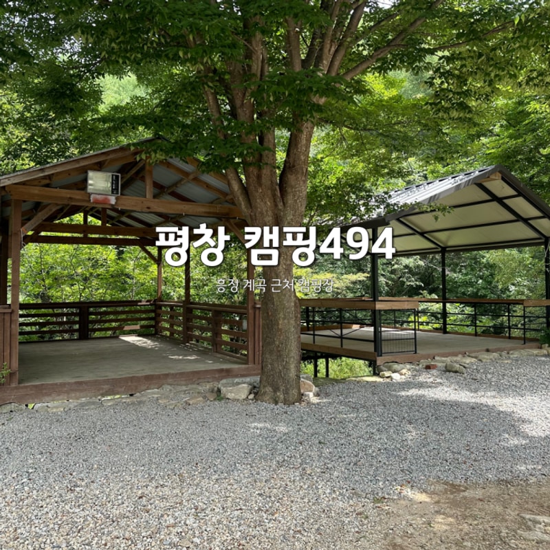 [강원도/평창] 흥정계곡 앞 소규모 캠핑장 캠핑494 후기