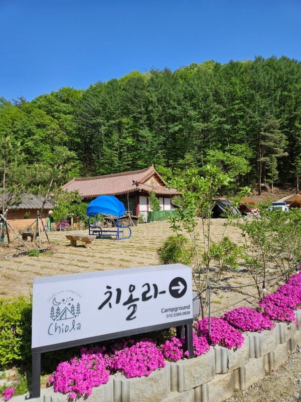 초보캠퍼에게 알맞는 원주 신상캠핑장 풀타프존 치올라캠핑