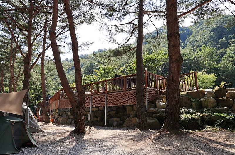 캠프 오어즈 시설 사진 3