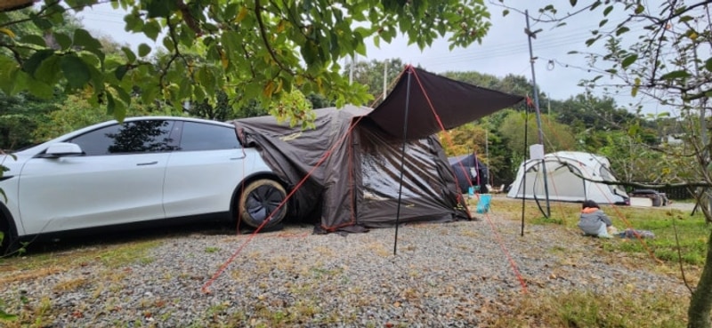 다섯 번째 캠핑장 후기 - 파주 하마캠핑장 (할로윈)