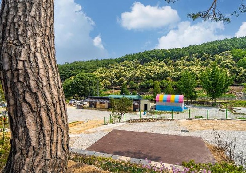 고려산 힐링캠프 시설 사진 27