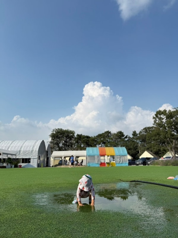 [충남/아산] 아이동반 애견동반 “재리캠핑” 키즈캠핑장...