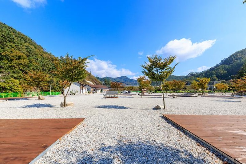 백운일출캠핑장 대표 사진