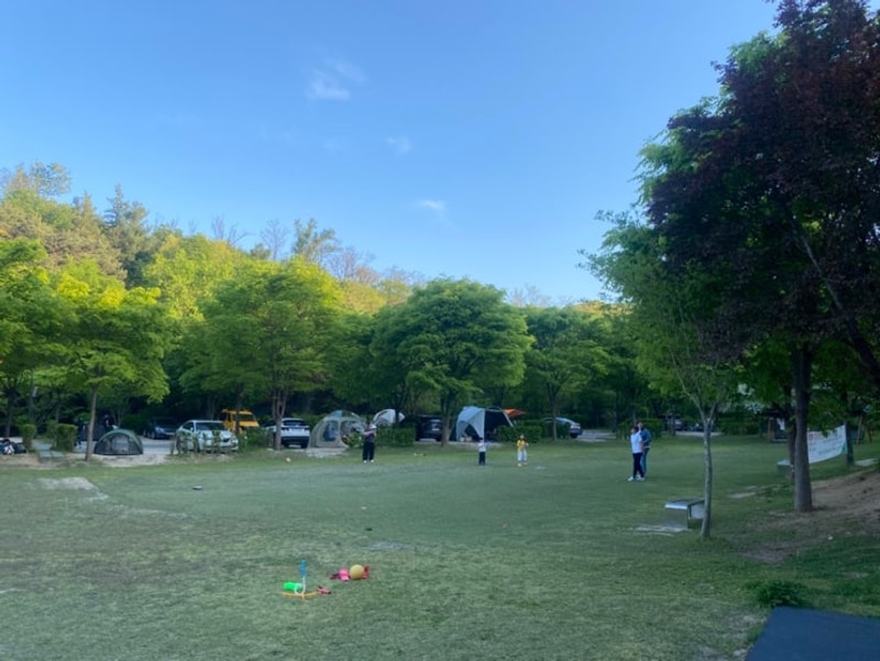 노원 초안산캠핑장 P17