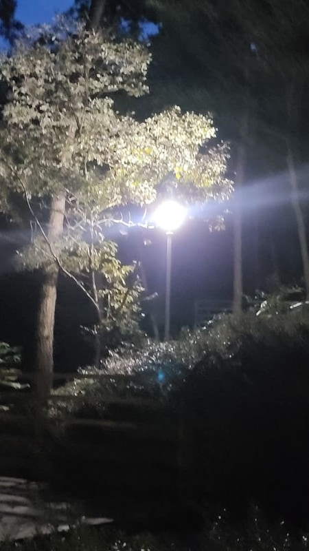 자연과 함께 힐링할 수 있는 태안캠핑장 올레유