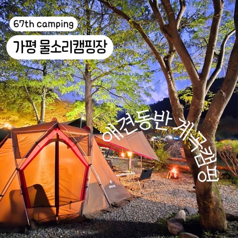 가평 물소리캠핑장, 서울근교 애견동반 계곡캠핑