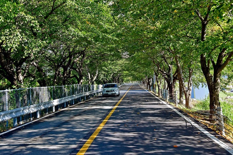 황산문화체육공원 국민여가캠핑장 시설 사진 5