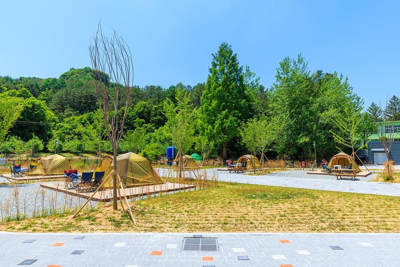 경상북도교육청김천오토캠핑장 시설 사진 5