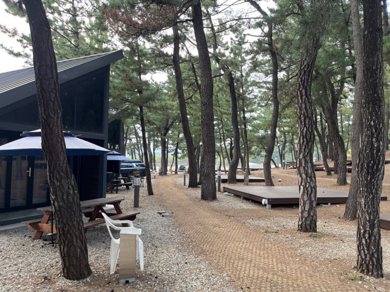 2025년 11월 삼척 [맹방비치캠핑장], [덕봉산해안생태탐방로]