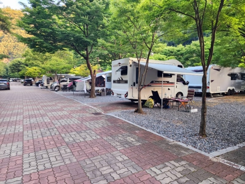 단양 소선암 오토캠핑장