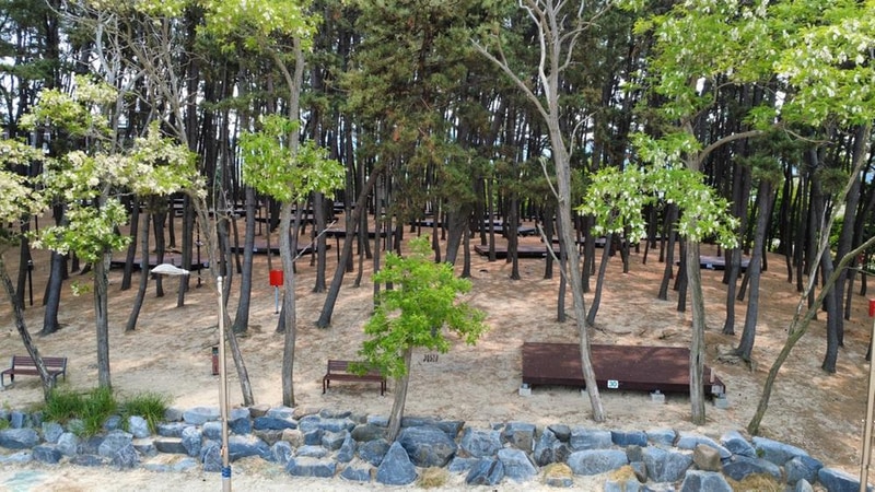용두해수욕장 숲속야영장 시설 사진 5