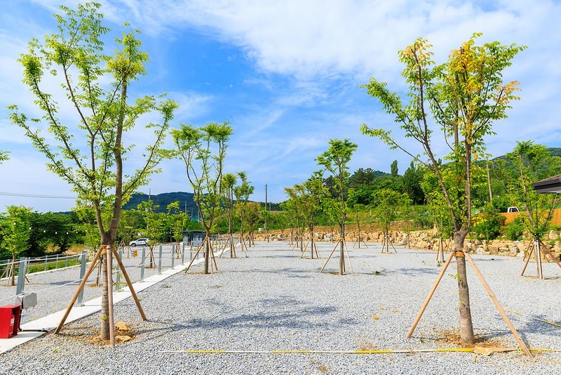 산앤호반 캠핑장 시설 사진 8