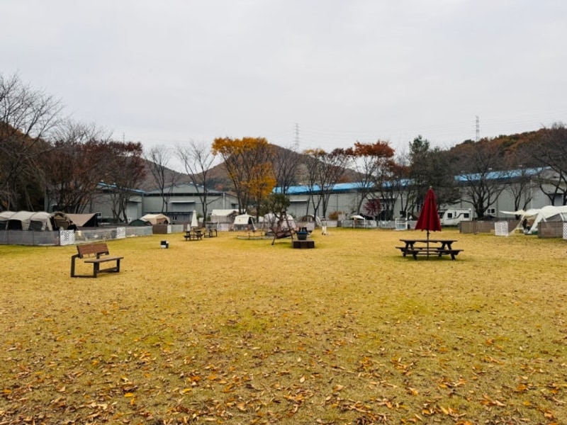 [아산]반려견 동반 라포레 캠핑장 방문