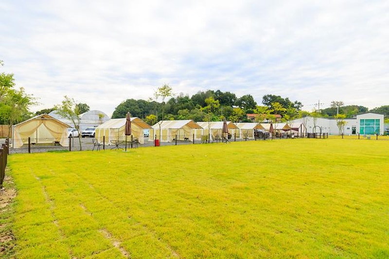 잭슨글램핑 대표 사진